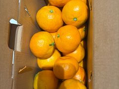 -四季民福烤鸭店(前门大栅栏店)