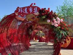 -荷兰花海