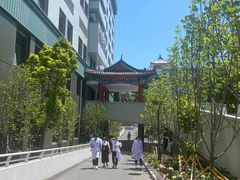 -北京协和医院(东单院区)