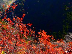 -八达岭长城