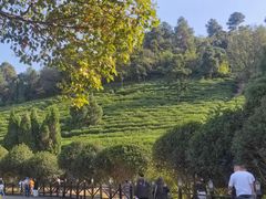 -树山生态村