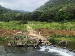 -广州市石门国家森林公园