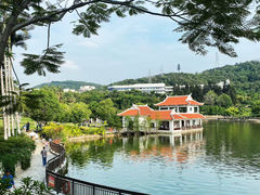-仙岳公园