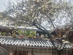 -黑龙潭公园
