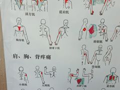 -裕和堂中医推拿艾灸(太古汇臻品店)