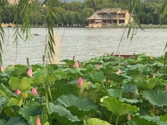 -济南大明湖景区