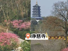 -杭州植物园