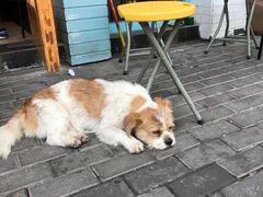 -乌镇那一年小院主题餐厅(甘泉西路店)