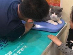 -美迦爱-牙专科·兔科·骨科诊疗中心(北苑店)