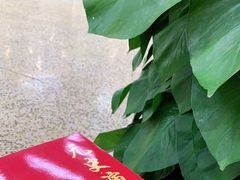 -东北大学(南湖校区)
