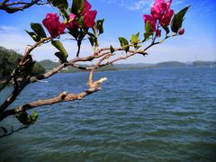 -梧桐山风景名胜区