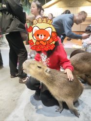 -Zoolung Zoolung动物主题公园(海信广场店)