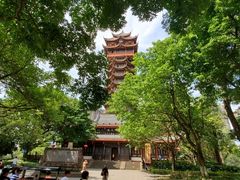 -塔子山公园