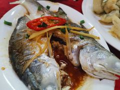 -蛇口康乐快餐鱼仔档(翠苑小区店)