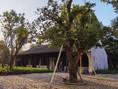 -上海市龙华烈士陵园