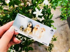 -TrueLove @ Neverland (Husky Cafe)