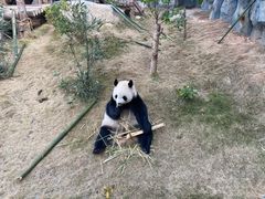 -泉州海丝野生动物世界