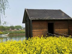 -同里国家湿地公园