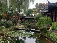 -武汉园博园(武汉自然博物馆)