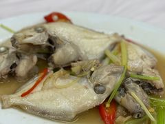 -老三鱼仔店