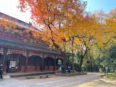 -灵谷景区