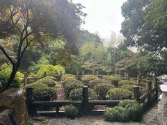 -十八棵（老龙井）御茶园(老龙井店)