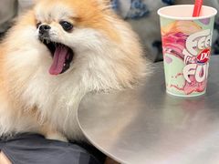-DQ·蛋糕·冰淇淋(五角场万达店)