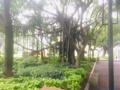 -江头公园
