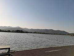 -长田漾湿地公园