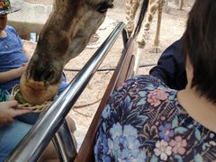 -清迈夜间动物园