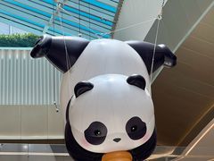 -东莞松山湖万象汇