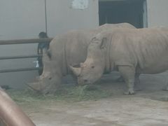 -鄂尔多斯野生动物园