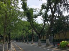 -颐和路民国时期公馆风貌区