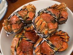 阳澄湖大闸蟹-喜洋洋蟹庄(阳澄湖店)