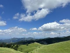 -仰天湖大草原
