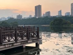 -南宁南湖公园
