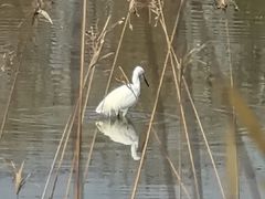 -艾溪湖湿地公园