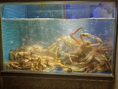 -徐记海鲜(曲江南湖店)