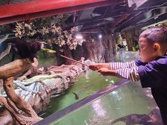 -正佳雨林生态植物园