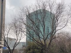 -丽思卡尔顿酒店泳池(金融街店)