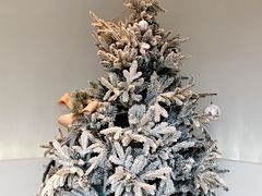 -J Create城市露营咖啡·简餐·宠物(上海动物园店)