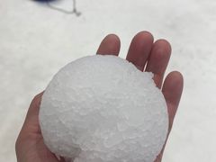-Mr·Kuma酷么先生雪之乐园
