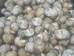 -兴隆海鲜菜馆
