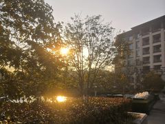 -太湖饭店玉兰厅(自助餐厅)