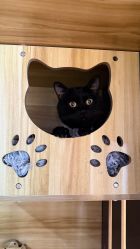 -Hair Code芭曲发型