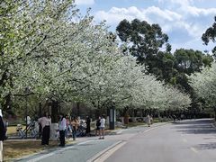 -成都大学-图书馆