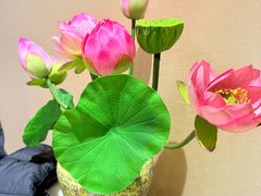 -宫事颐庭·老佛爷贵寿下午茶(颐和园店)