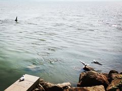 -深圳湾公园(南山区)
