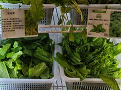 -黔府豆米火锅野菜馆(南马店)