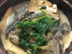 -杨厝六十六农庄农舍(杨厝路店)